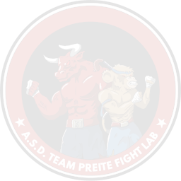 Logo Team Preite Weather Mark